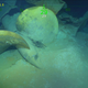 The propellor of the USS Juneau resting on the seafloor.